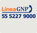 Línea GNP