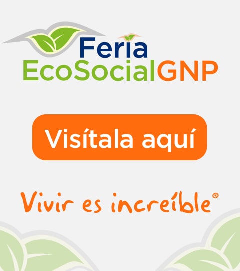 Feria EcoSocial GNP